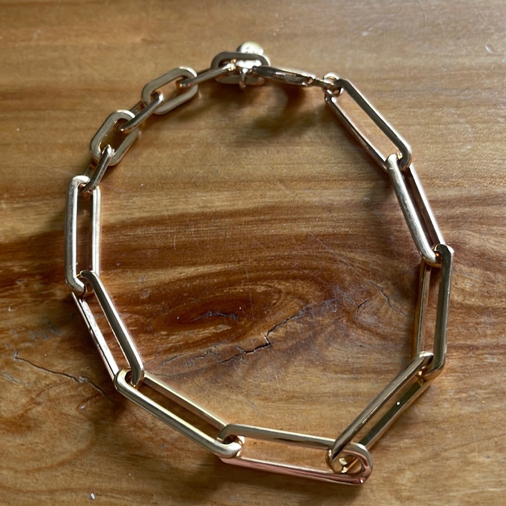 Jenny bird anklet